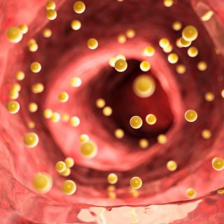 Bloqueo de la absorción de carbohidratos rápidos